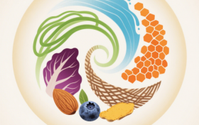 从需求洞察到产品落地，东营鼎卓商贸的健康产业布局