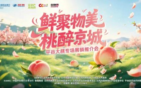 政企银商搭产销金桥 京郊鲜品润首都餐桌——”京郊产·本地鲜”平谷大桃专场展销推介会圆满启幕