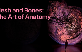 艺术科学博物馆推出全新大展